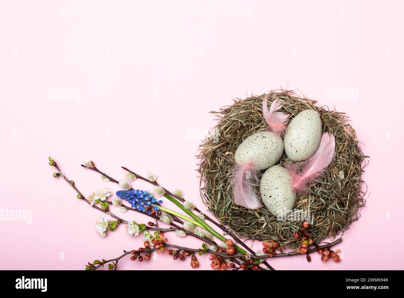 Nest mit gepunkteten Ostereiern und Blütendekoration vor pinkem Hintergrund Foto Stock
