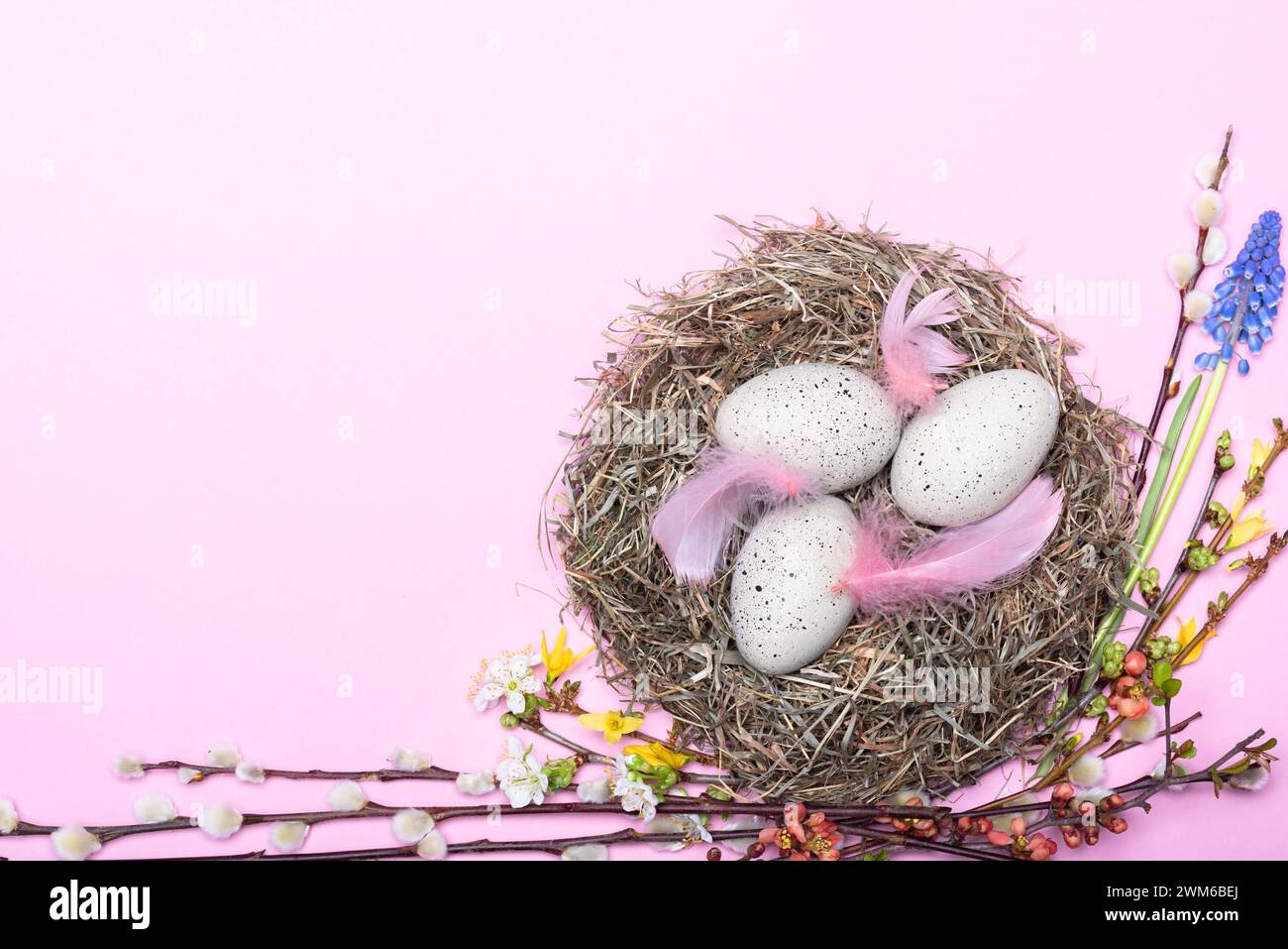 Nido mit gepunkteten Ostereiern und Blütendekoration vor pinkem Hintergrund *** nido con uova di Pasqua punteggiate e decorazioni floreali su sfondo rosa Foto Stock