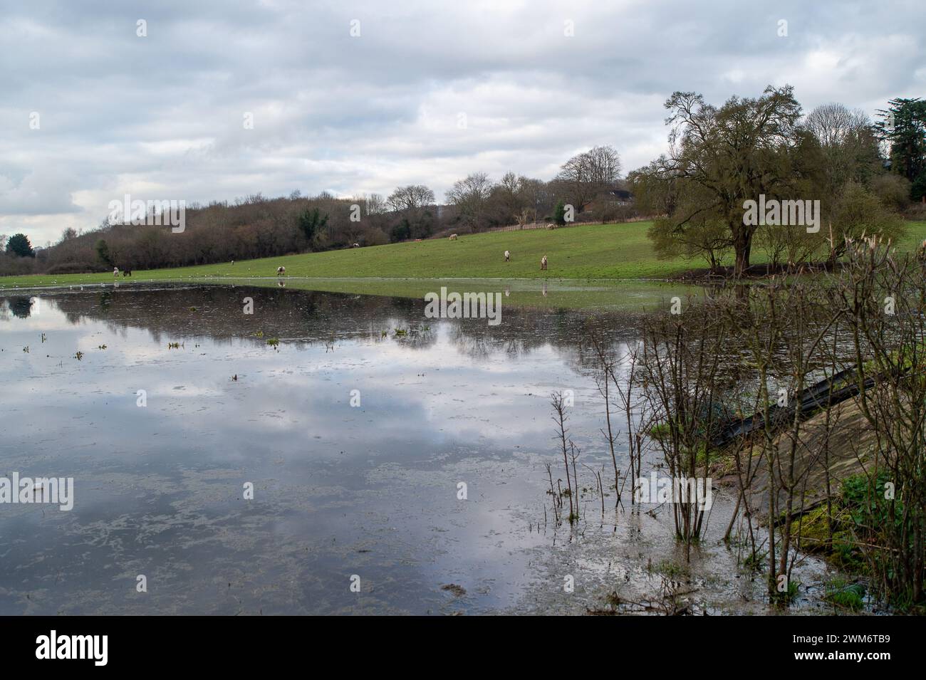 Chalfont St Giles, Regno Unito. 24 febbraio 2024. Le inondazioni rimangono nel villaggio di Chalfont St Giles nel Buckinghamshire. Anche se i campi e il centro della città sono soggetti a inondazioni, secondo i social media, i residenti locali ritengono che l'entità delle inondazioni in corso possa essere il risultato di un tunnel HS2 nella falda acquifera di gesso per i tunnel ad alta velocità della ferrovia Chiltern. Crediti: Maureen McLean/Alamy Live News Foto Stock