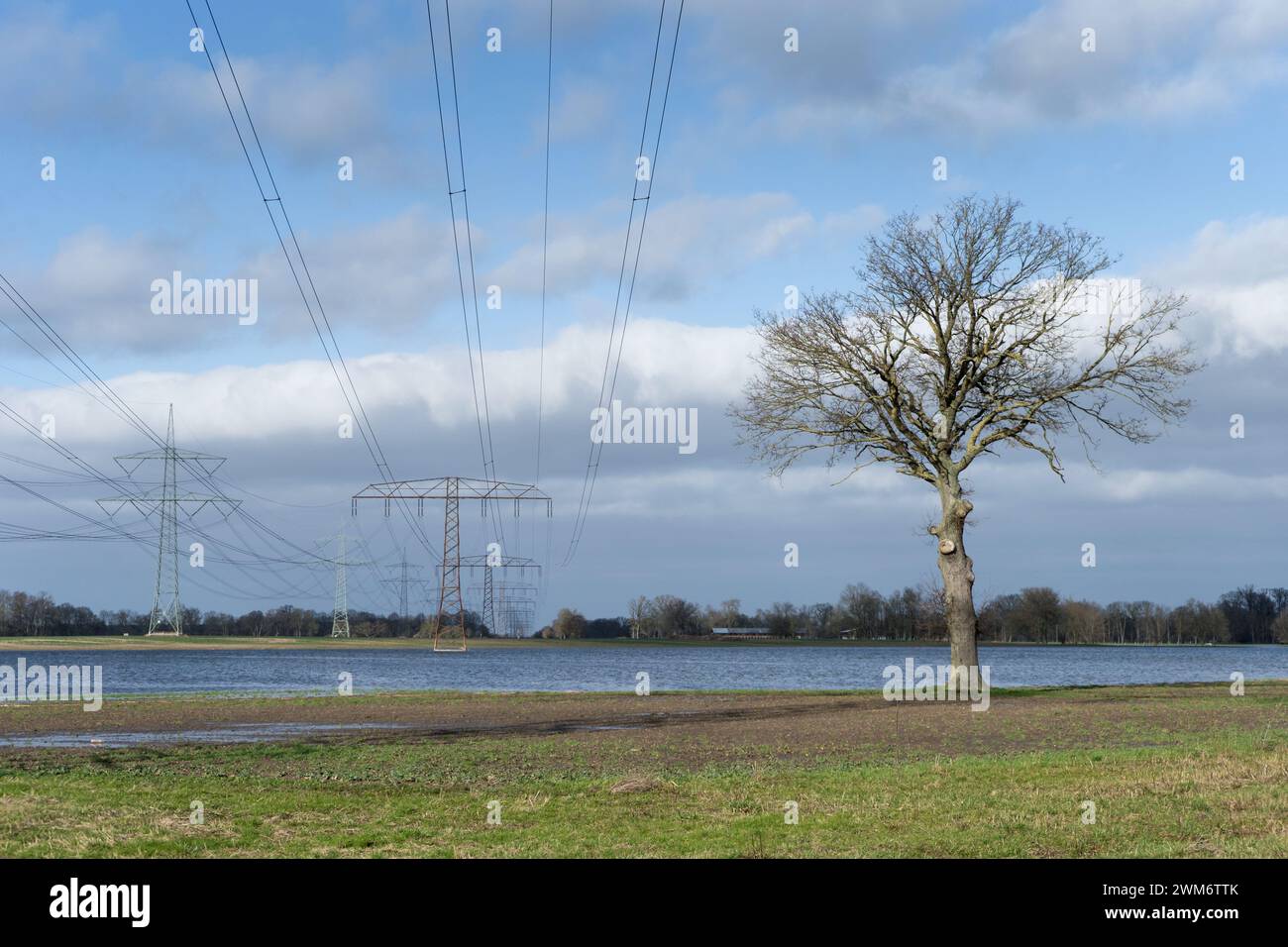 Prati allagati di piloni elettrici nell'Altmark, Sassonia-Anhalt, Germania Foto Stock