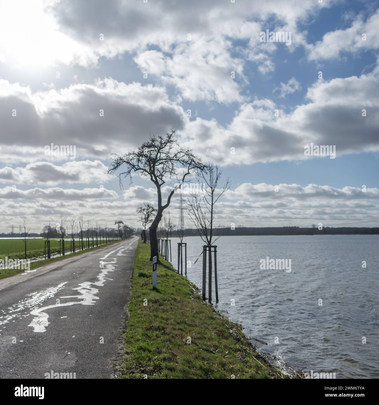 Prati allagati nell'Altmark, Sassonia-Anhalt, Germania Foto Stock