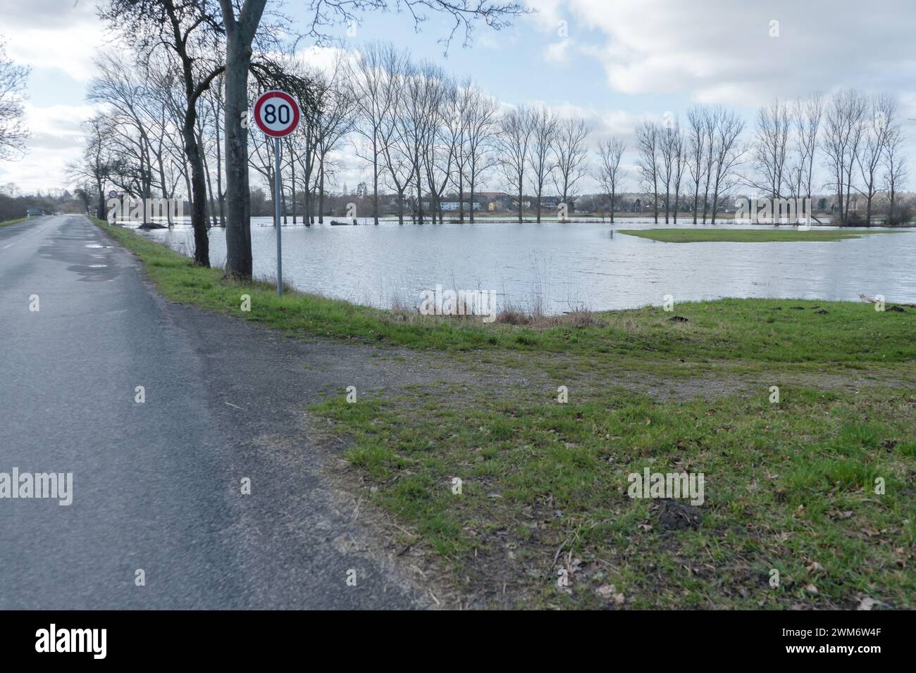 Prati allagati nell'Altmark, Sassonia-Anhalt, Germania Foto Stock