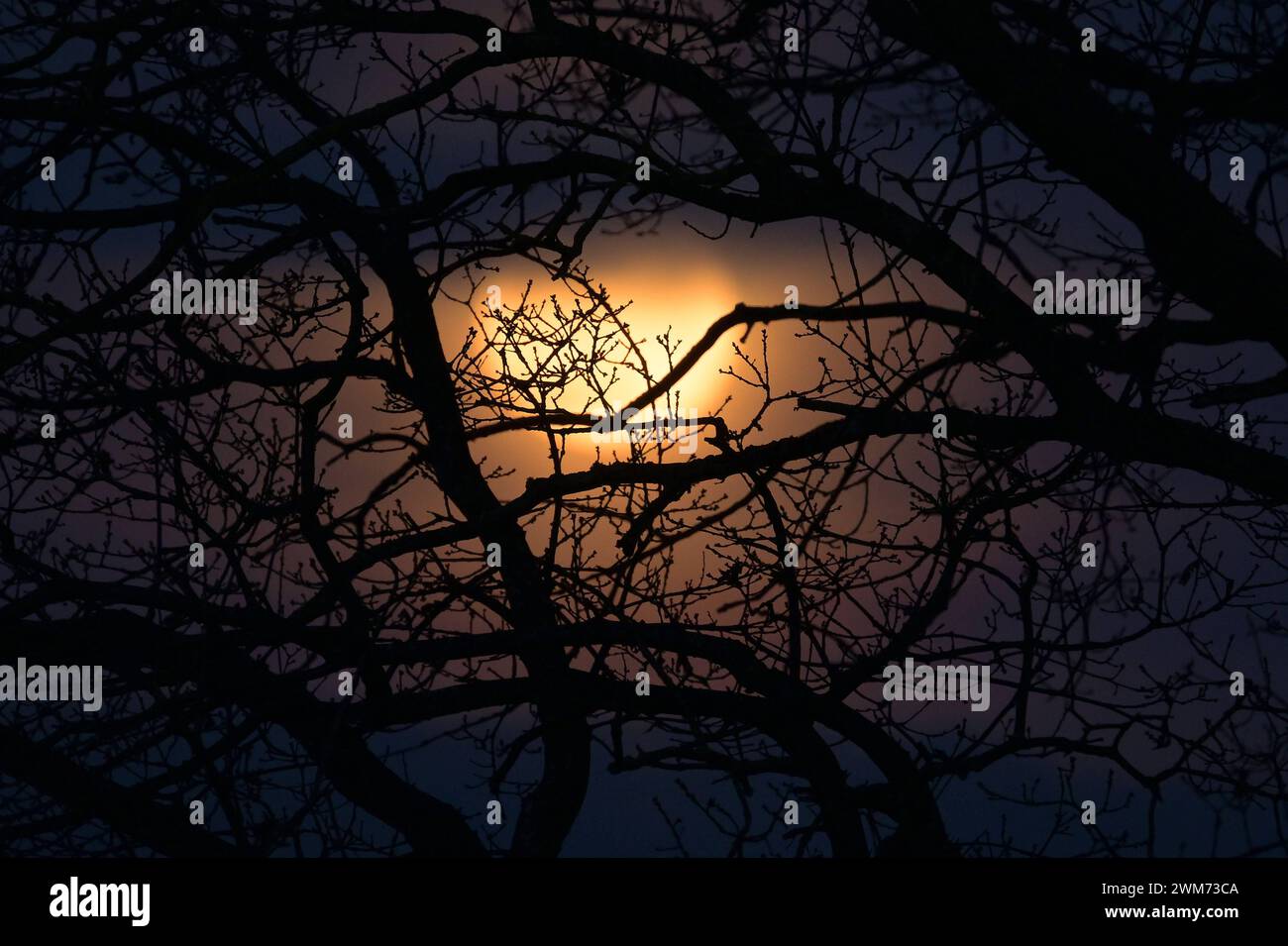 Full Cold Moon la Full Cold Moon sorge su terreni agricoli nelle campagne dell'Essex Essex Chadwell St Mary Regno Unito Copyright: XMartinxDaltonx Full Cold Moon 24-224 MD 0080 Foto Stock