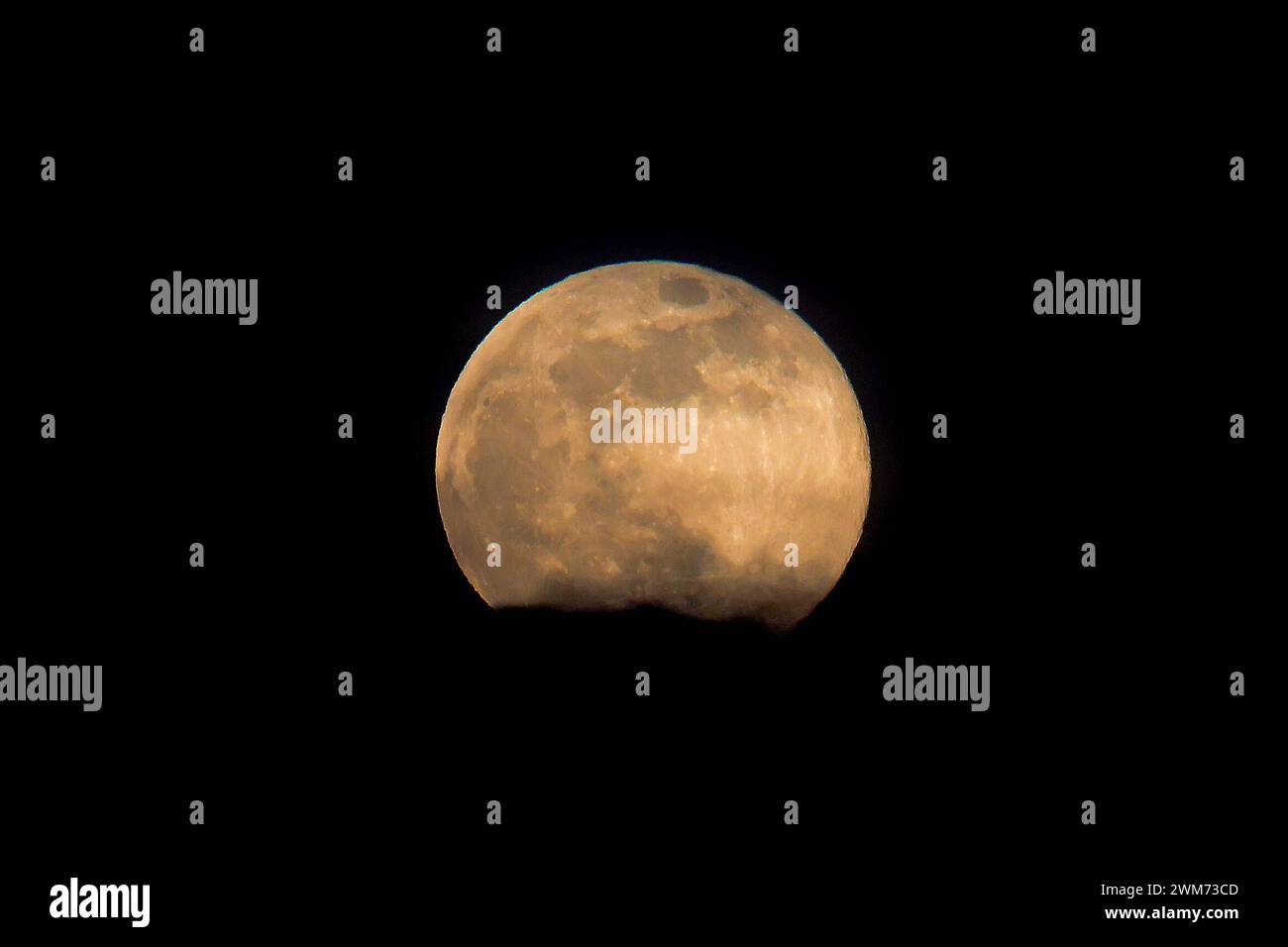 Full Cold Moon la Full Cold Moon sorge su terreni agricoli nelle campagne dell'Essex Essex Chadwell St Mary Regno Unito Copyright: XMartinxDaltonx Full Cold Moon 24-224 MD 0009 Foto Stock