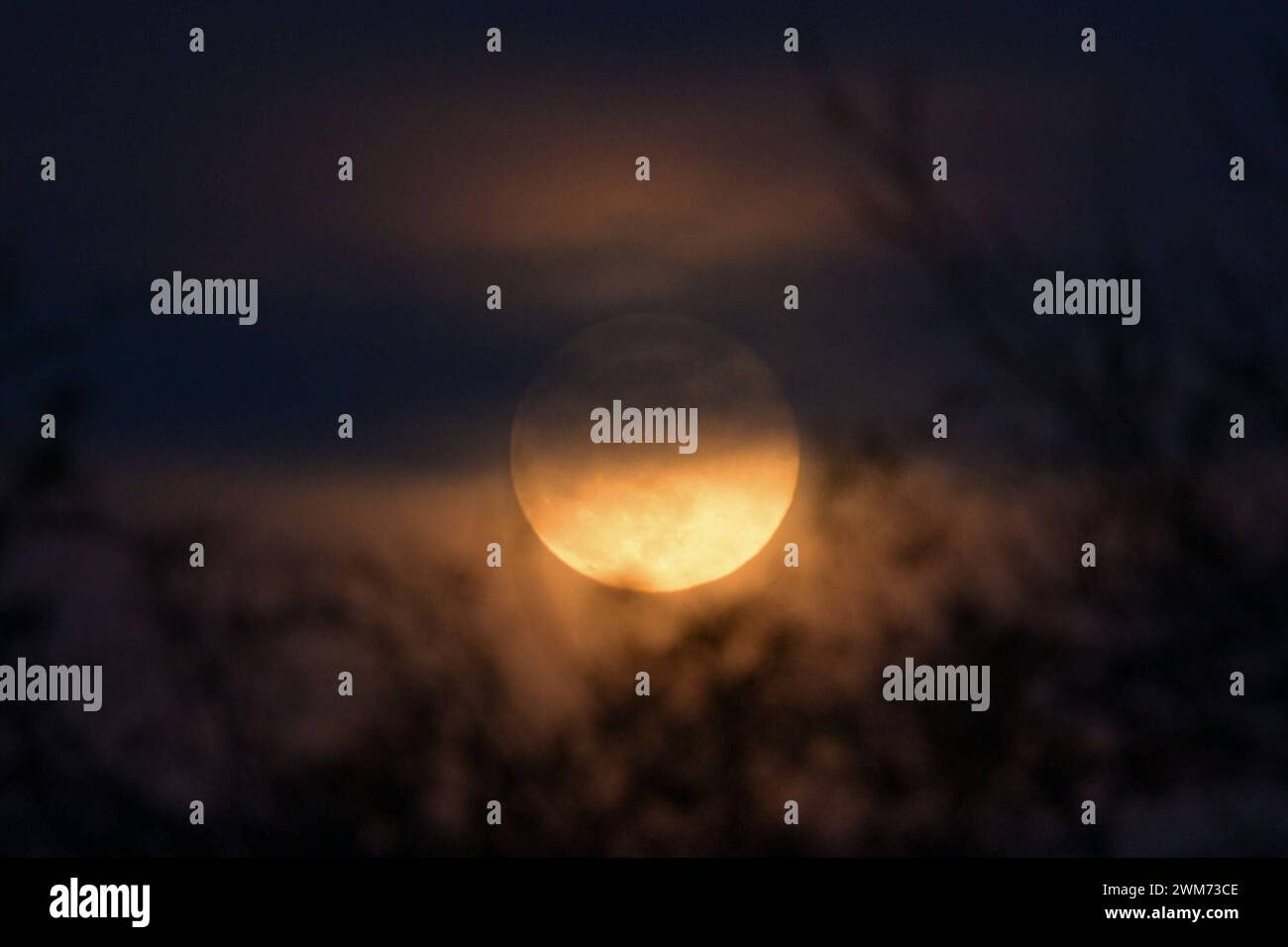 Full Cold Moon la Full Cold Moon sorge su terreni agricoli nelle campagne dell'Essex Essex Chadwell St Mary Regno Unito Copyright: XMartinxDaltonx Full Cold Moon 24-224 MD 0085 Foto Stock