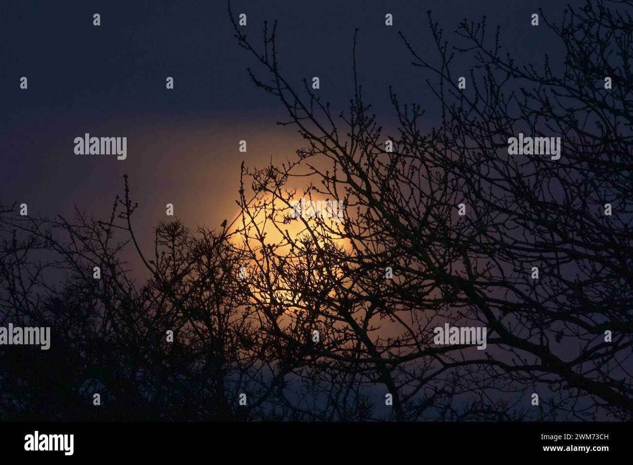 Full Cold Moon la Full Cold Moon sorge su terreni agricoli nelle campagne dell'Essex Essex Chadwell St Mary Regno Unito Copyright: XMartinxDaltonx Full Cold Moon 24-224 MD 0046 Foto Stock