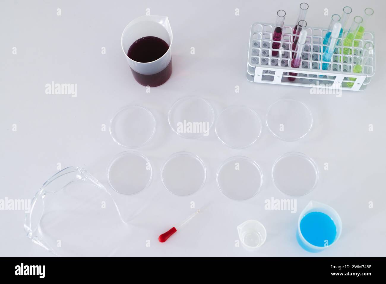 Configurazione del laboratorio con capsule di Petri e provette per analisi su una superficie bianca Foto Stock