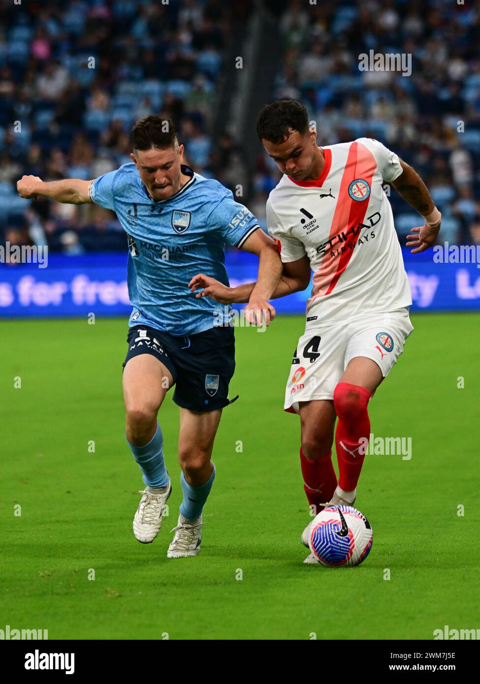 Parramatta, Australia. 24 febbraio 2024. Joseph Lolley (L) della squadra di Sydney FC e Vicente Felipe Fernández Godoy (R) del Melbourne City FC sono visti in azione durante il round 18 della stagione 2023/24 tra Sydney FC e Melbourne City FC tenutosi al CommBank Stadium. Punteggio finale; Sydney FC 1:1 Melbourne City FC. (Foto di Luis Veniegra/SOPA Images/Sipa USA) credito: SIPA USA/Alamy Live News Foto Stock