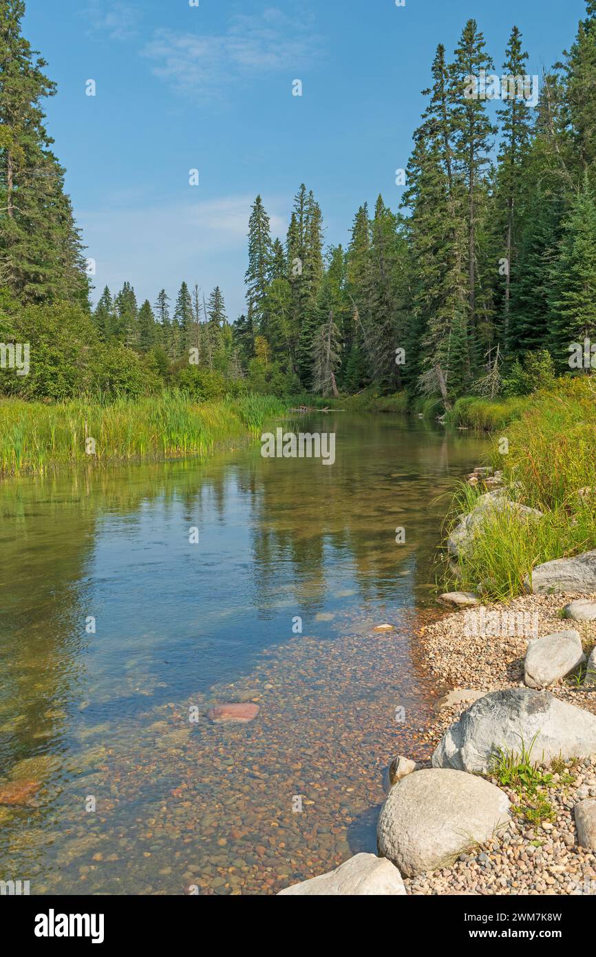 Il tranquillo ruscello scorre nella North Woods sul fiume Kingsmere nel Prince Albert National Park nel Saskatchewan Foto Stock