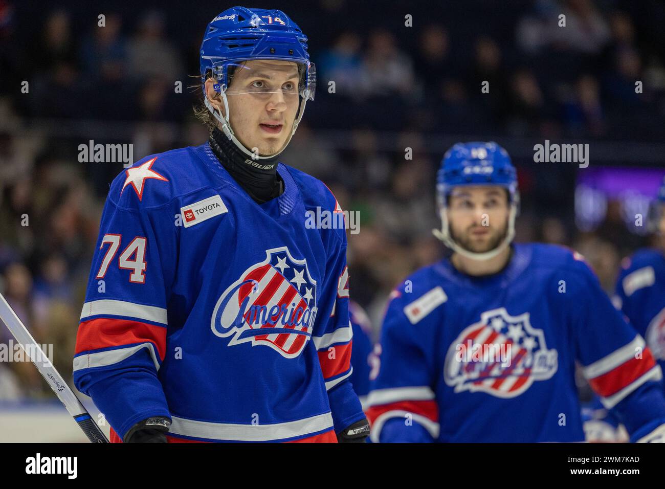21 febbraio 2024: Nikita Novikov (74), difensore di Rochester Americans, pattina il primo periodo contro i senatori di Belleville. I Rochester Americans ospitarono i Belleville Senators in una partita della American Hockey League alla Blue Cross Arena di Rochester, New York. (Jonathan tenca/CSM) Foto Stock