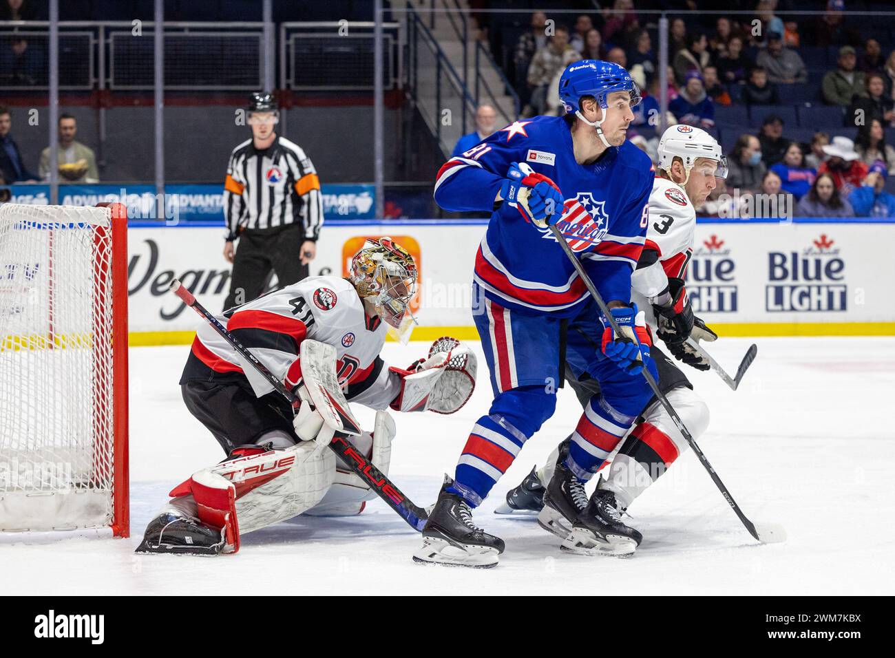 21 febbraio 2024: L'attaccante dei Rochester Americans Brett Murray (81) pattina il secondo periodo contro i Belleville Senators. I Rochester Americans ospitarono i Belleville Senators in una partita della American Hockey League alla Blue Cross Arena di Rochester, New York. (Jonathan tenca/CSM) Foto Stock