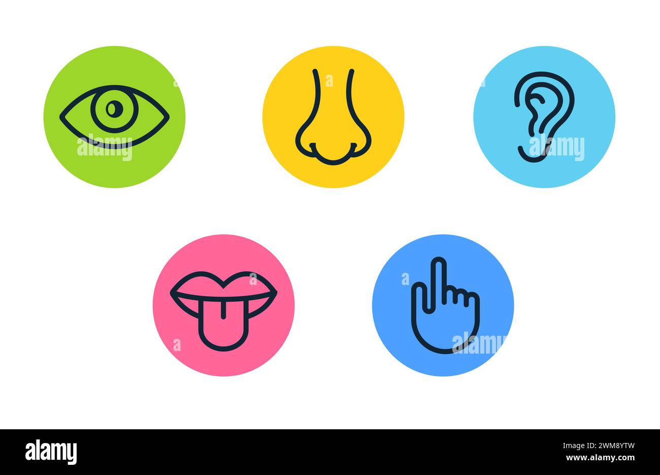 Cinque sensi umani visione occhio, odore naso, udito orecchio, toccare mano, gusto bocca e lingua. Set di icone vettore di linea Illustrazione Vettoriale