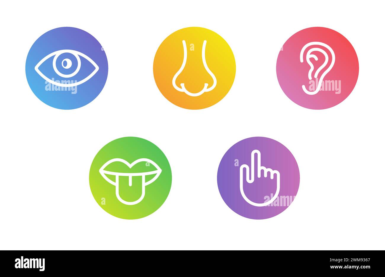 Cinque sensi umani visione occhio, odore naso, udito orecchio, toccare mano, gusto bocca e lingua. Set di icone vettore di linea Illustrazione Vettoriale