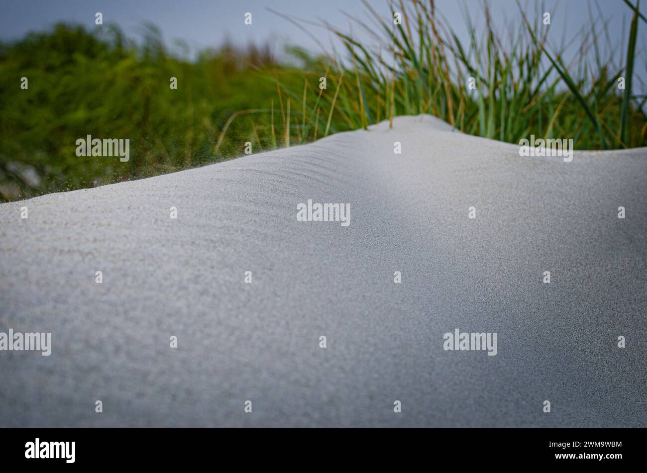 sfondo astratto, sabbia soffice e soffice, soffiata dal vento Foto Stock