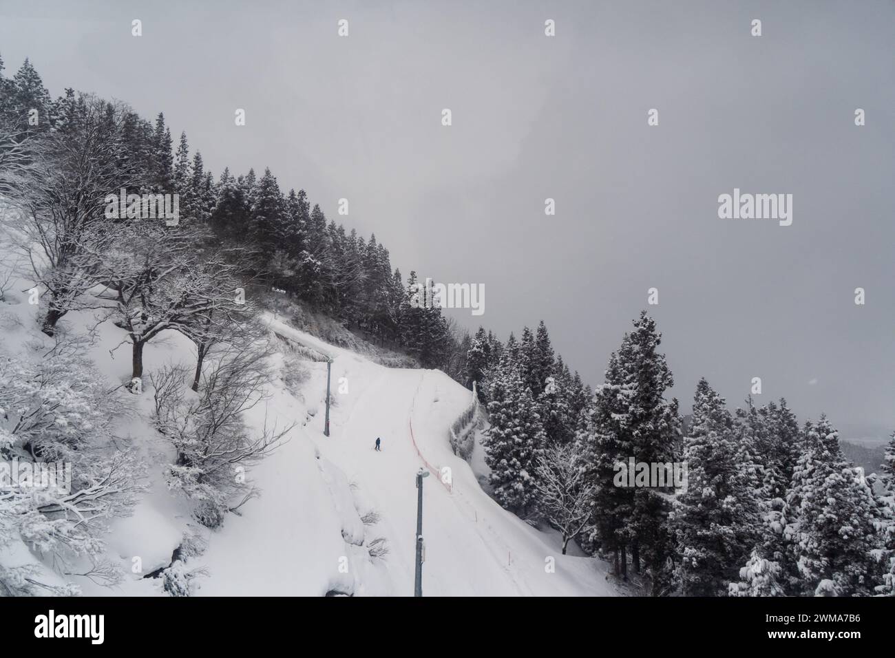 Montagna innevata per sciare a Niigata, Giappone Foto Stock