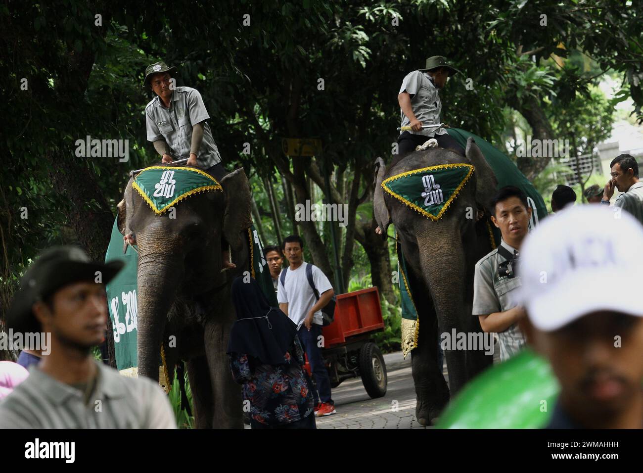 25 febbraio 2024, Yogyakarta, regione speciale di Yogyakarta, Indonesia: Due custodi cavalcano gli elefanti di Sumatra (Elephas maximus sumatranus) durante il carnevale degli animali presso lo zoo Gembira Loka, Yogyakarta. Oltre ad essere un mezzo di intrattenimento, il carnevale è anche inteso come una celebrazione che sottolinea il messaggio di conservazione e armonia tra esseri umani e animali. (Credit Image: © Angga Budhiyanto/ZUMA Press Wire) SOLO PER USO EDITORIALE! Non per USO commerciale! Foto Stock