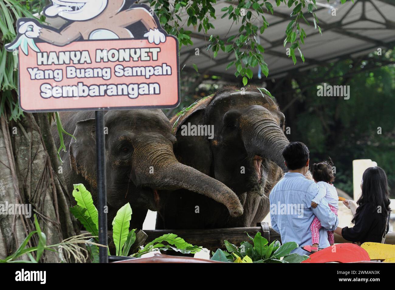 25 febbraio 2024, Yogyakarta, regione speciale di Yogyakarta, Indonesia: People Look at the Sumatran Elephant (Elephas maximus sumatrensis) presso lo zoo Gembira Loka, Yogyakarta. (Credit Image: © Angga Budhiyanto/ZUMA Press Wire) SOLO PER USO EDITORIALE! Non per USO commerciale! Foto Stock