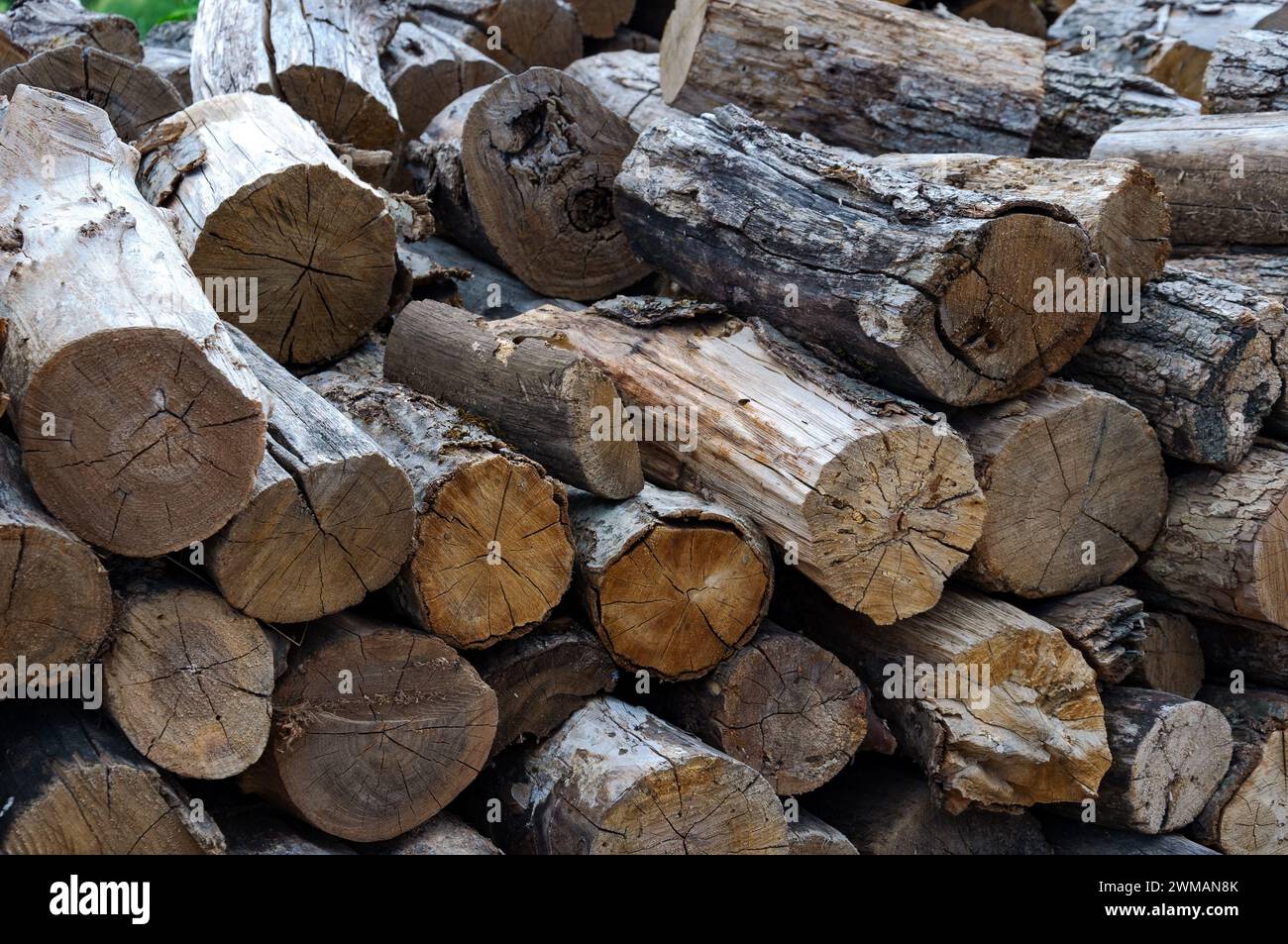 Pila di legname naturale impilato, fondo in legno, vista frontale. Vecchi tronchi per un fuoco o una stufa. Foto Stock