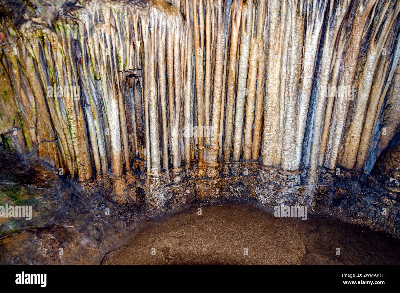 Crimea, Ucraina. Stalattiti, stalagmiti sulle pareti della grotta Emine-Bair-Khosar. Modello per la progettazione. Nitidezza selettiva. Periodo estivo. Foto Stock