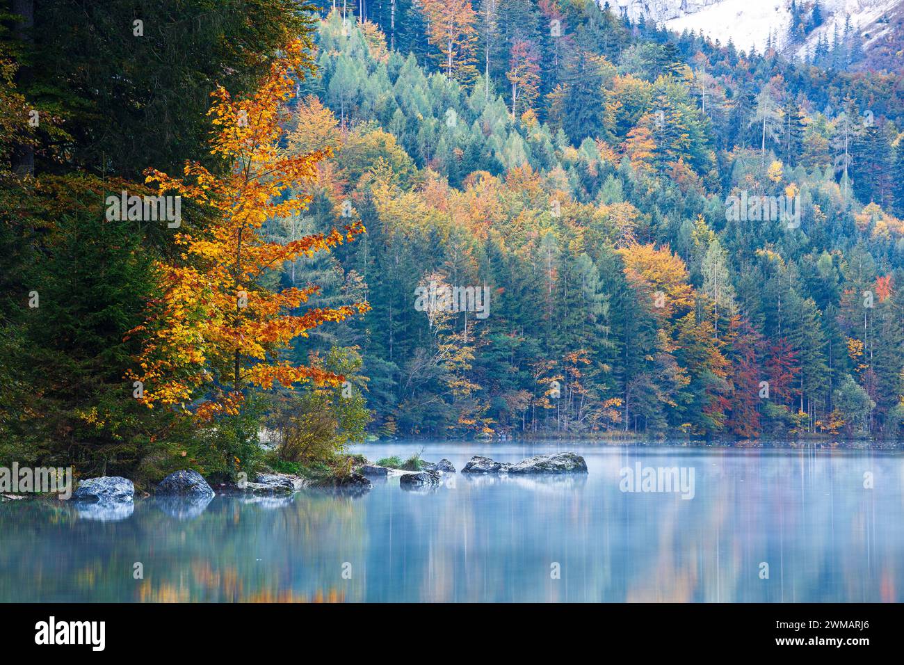 All'alba, la foresta nella stagione autunnale del lago alpino Vorderer Langbathsee. Ebensee, alta Austria. Europa. Foto Stock