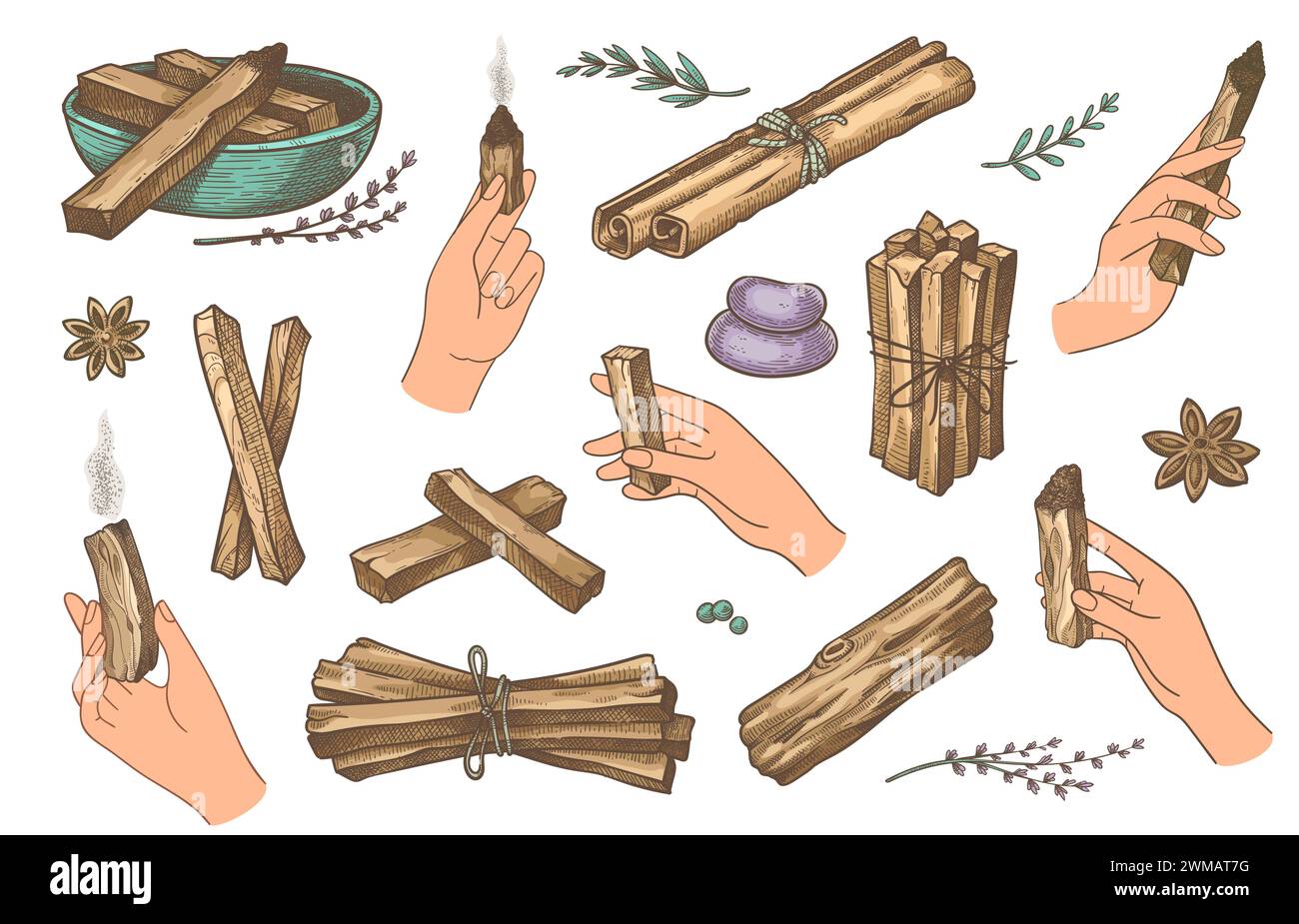 Mani con bastoni palo santo. Palma con bastoncini profumati in legno per aromaterapia e meditazioni. Guarigione mistica e rilassamento disegnata a mano dal vettore Illustrazione Vettoriale