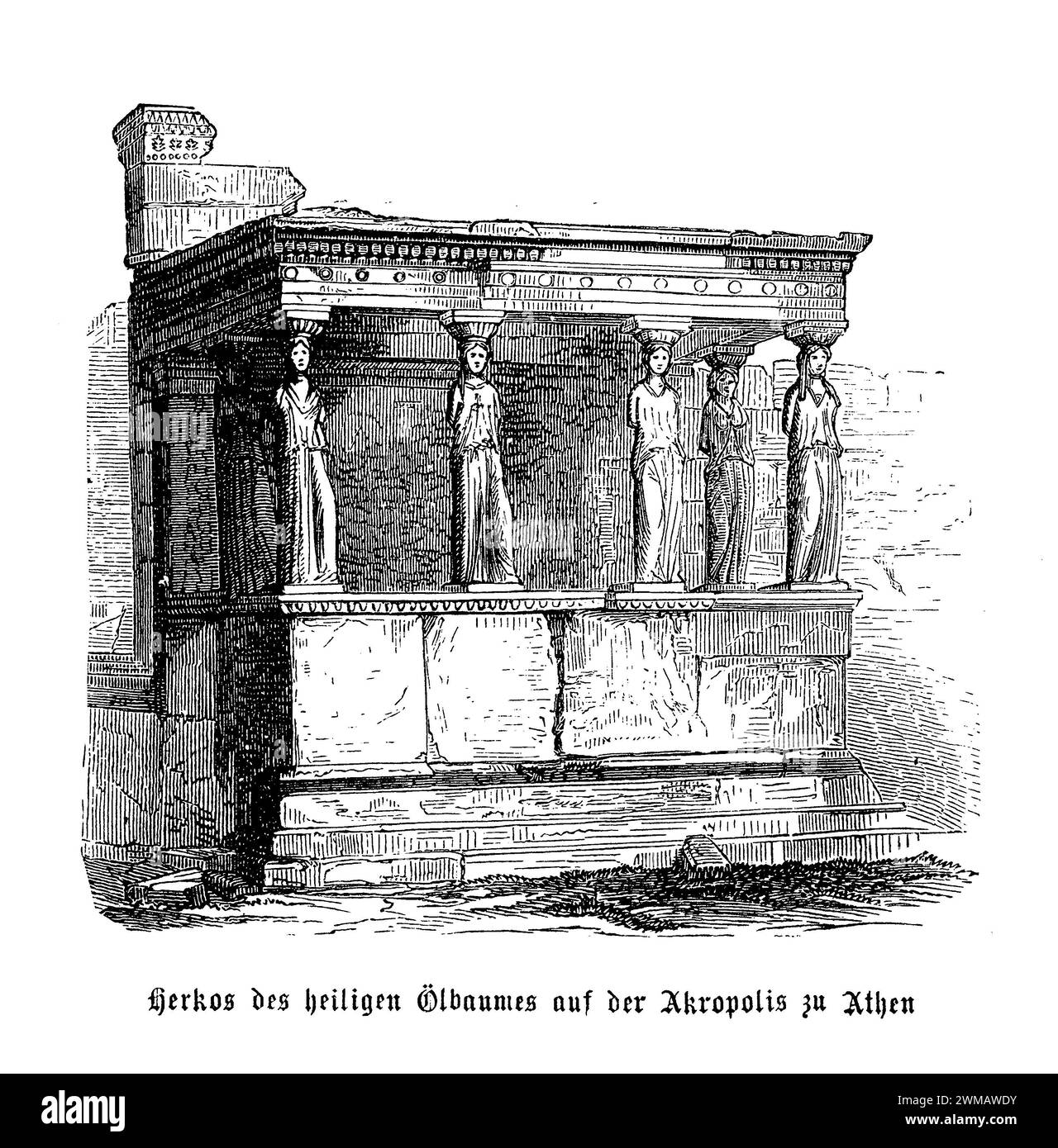 Le cariatidi dell'Eretteo, una caratteristica distintiva di questo antico tempio greco situato sull'Acropoli di Atene, sono un simbolo iconico dell'architettura classica e dell'arte. L'Eretteo, costruito tra il 421 e il 406 a.C., è notevole per la sua pianta complessa e irregolare, che ospitava il terreno sacro e irregolare dell'Acropoli. Tra le sue varie innovazioni architettoniche, la più celebre è il Portico delle Cariatidi, dove invece delle colonne tradizionali, sei figure femminili drappeggiate (cariatidi) sostengono la traballazione sulle loro teste Foto Stock