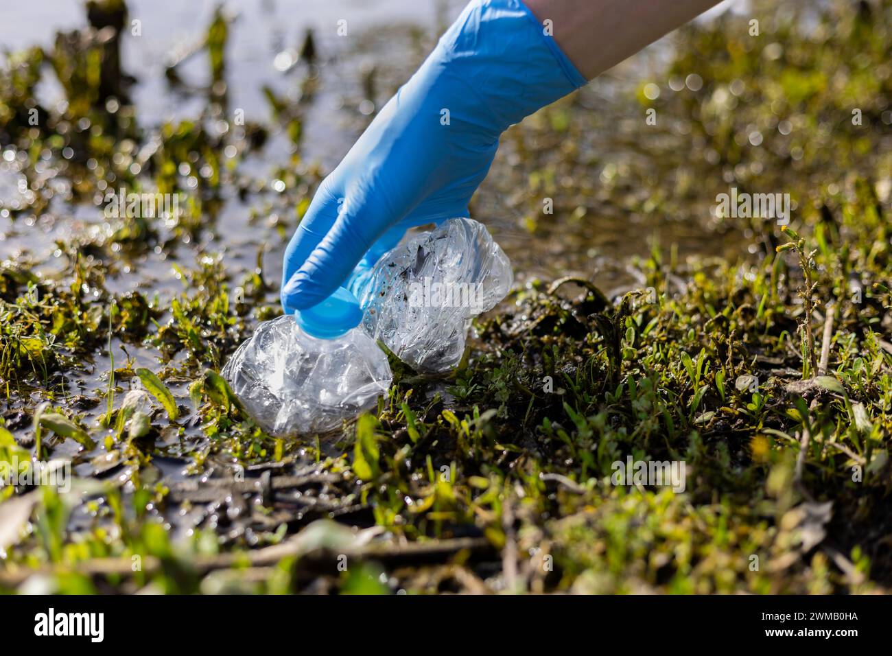Giovane donna che raccoglie bottiglie di plastica in un lago, in una campagna di riciclaggio. Concetto di pulizia Foto Stock