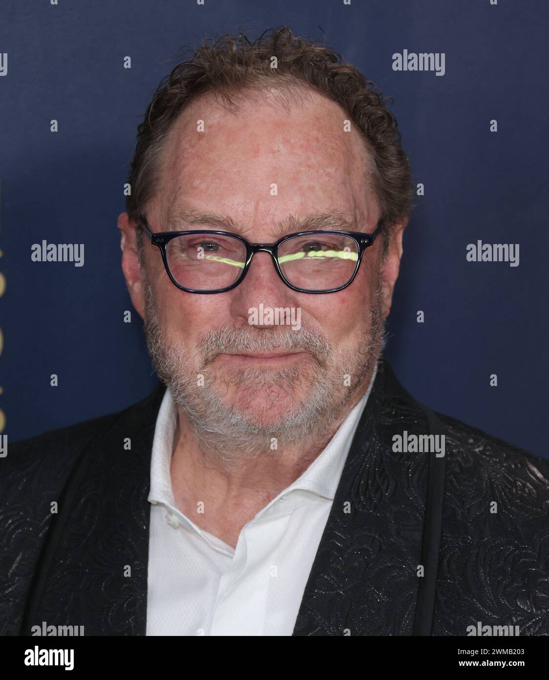 Los Angeles, Stati Uniti. 24 febbraio 2024. LOS ANGELES, CALIFORNIA, USA - 24 FEBBRAIO: Stephen Root arriva al 30° Annual Screen Actors Guild Awards tenutosi presso lo Shrine Auditorium e Expo Hall il 24 febbraio 2024 a Los Angeles, California, Stati Uniti. (Foto di Xavier Collin/Image Press Agency) credito: Image Press Agency/Alamy Live News Foto Stock