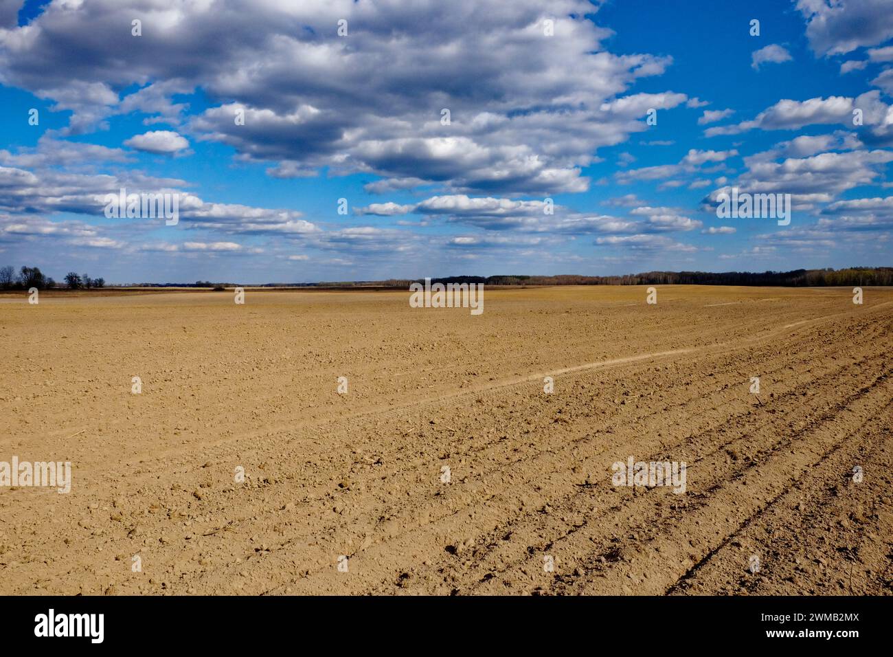 Un paesaggio arido con terra arata e cieli nuvolosi. Foto Stock