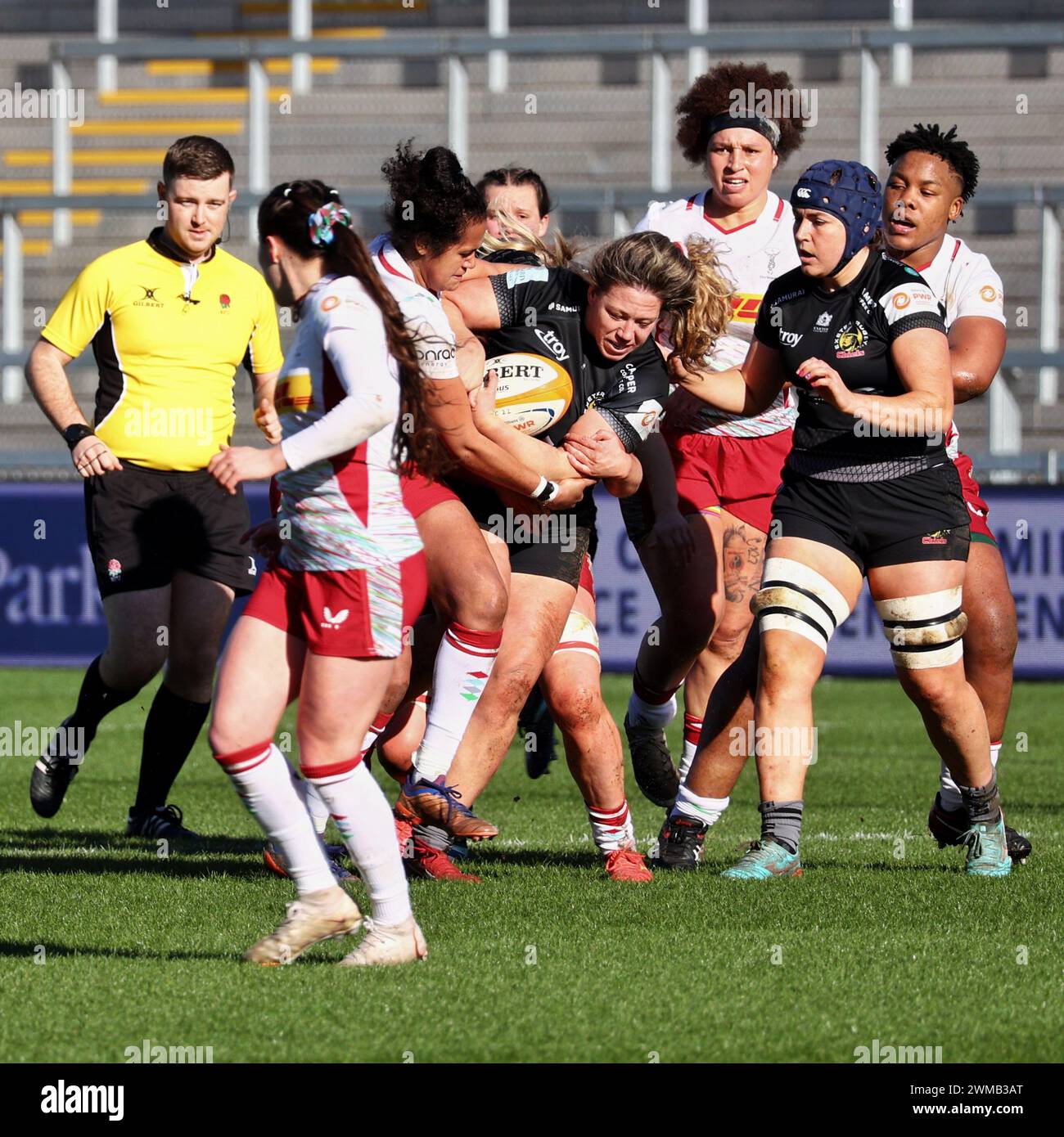 Exeter, Devon, Regno Unito. 24 febbraio 2024. Allianz Premiership Women's Rugby: Exeter Chiefs vs Harlequins Women at Sandy Park, Exeter, Devon, Regno Unito. Nella foto: Credito: Nidpor/Alamy Live News Foto Stock