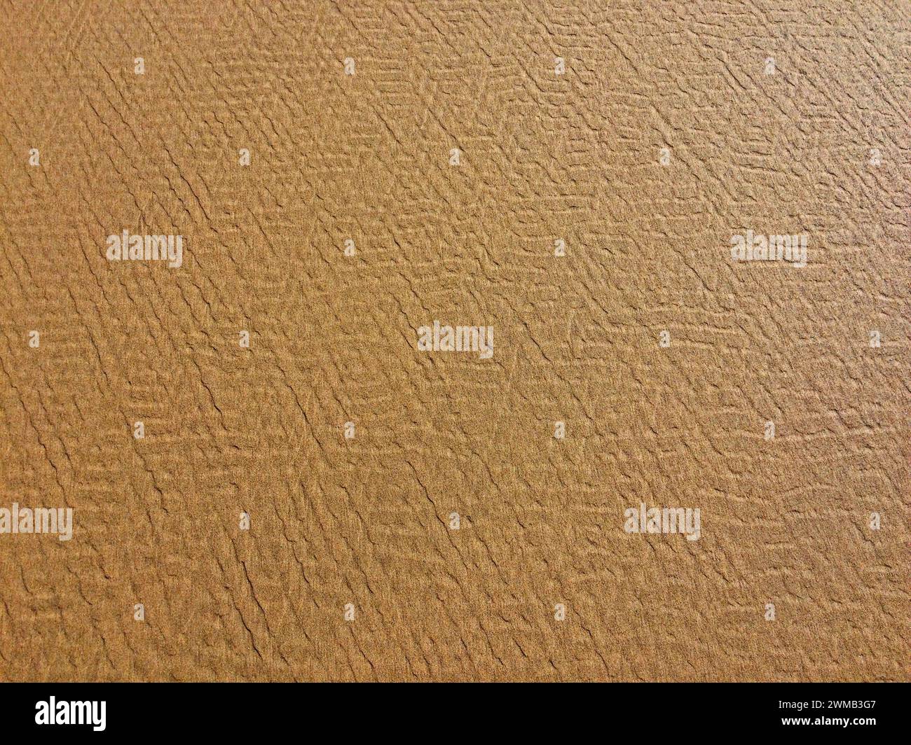 Immagine ravvicinata di una superficie ruvida con motivi intricati che ricordano crepe o rughe, uniformemente distribuita su tutto il telaio. Foto Stock