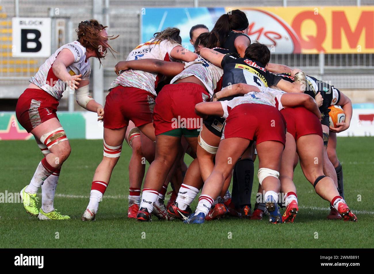 Exeter, Devon, Regno Unito. 24 febbraio 2024. Allianz Premiership Women's Rugby: Exeter Chiefs vs Harlequins Women at Sandy Park, Exeter, Devon, Regno Unito. Nella foto: Quins maul credito: Nidpor/Alamy Live News Foto Stock