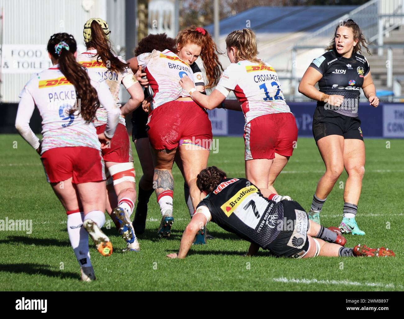 Exeter, Devon, Regno Unito. 24 febbraio 2024. Allianz Premiership Women's Rugby: Exeter Chiefs vs Harlequins Women at Sandy Park, Exeter, Devon, Regno Unito. Nella foto: Quins on the Charge Credit: Nidpor/Alamy Live News Foto Stock