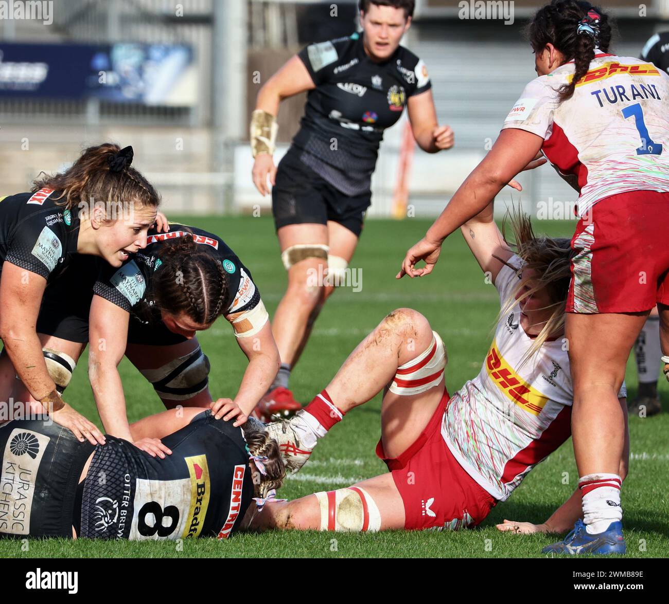 Exeter, Devon, Regno Unito. 24 febbraio 2024. Allianz Premiership Women's Rugby: Exeter Chiefs vs Harlequins Women at Sandy Park, Exeter, Devon, Regno Unito. Nella foto: Credito: Nidpor/Alamy Live News Foto Stock