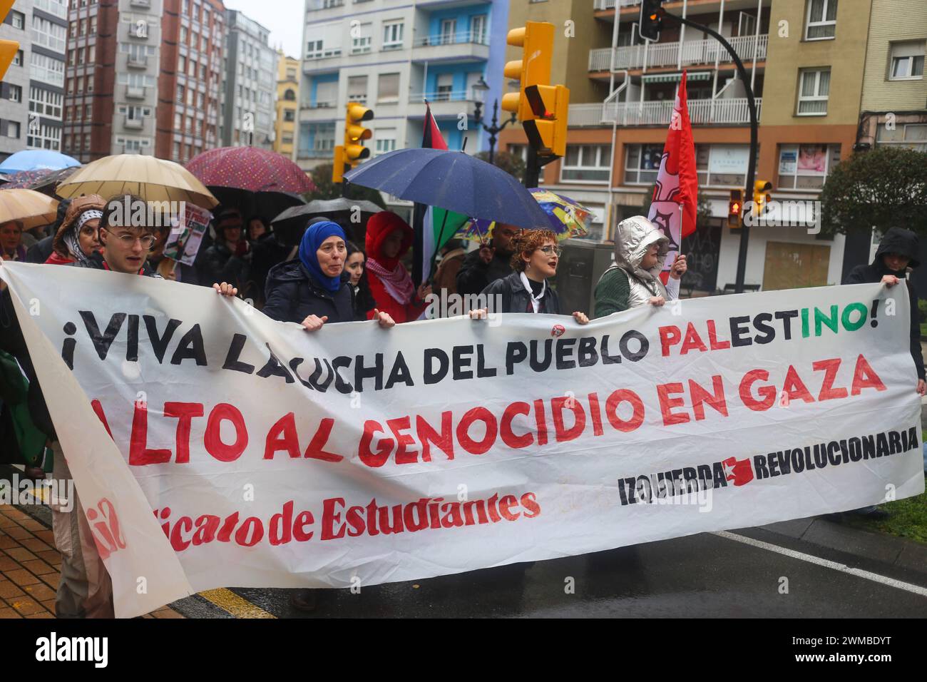 Gijón, Spagna, 25 febbraio 2024: Uno degli striscioni dimostrativi con "lunga vita alla lotta del popolo palestinese!, ferma il genocidio a Gaza” durante la dimostrazione Stop the Genocide in Palestine, End the Arms Trade and Relations with Israel, il 25 febbraio 2024, a Gijón, Spagna. Crediti: Alberto Brevers / Alamy Live News. Foto Stock