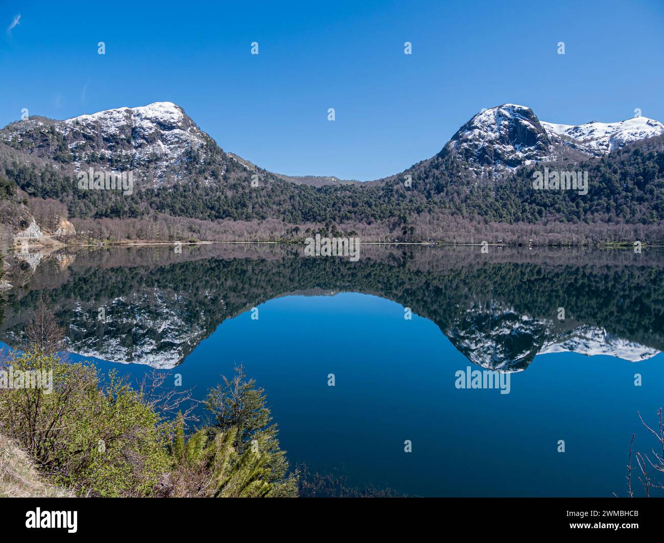 Lago Lago Quilleihue, superficie tranquilla, riflessi sull'acqua, alberi di araucaria, Villarica NP vicino a Paso Tromen Ó Mamuil Malal, Cile Foto Stock