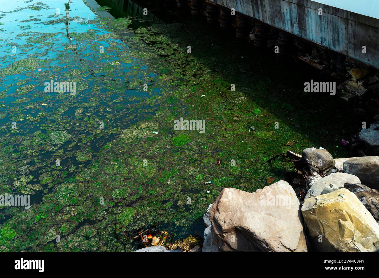 Acque reflue sporche sulla superficie del mare. Olio usato, olio combustibile e lubrificante pesante. Pellicola oleosa sporca sulla superficie del mare turchese sulla b Foto Stock