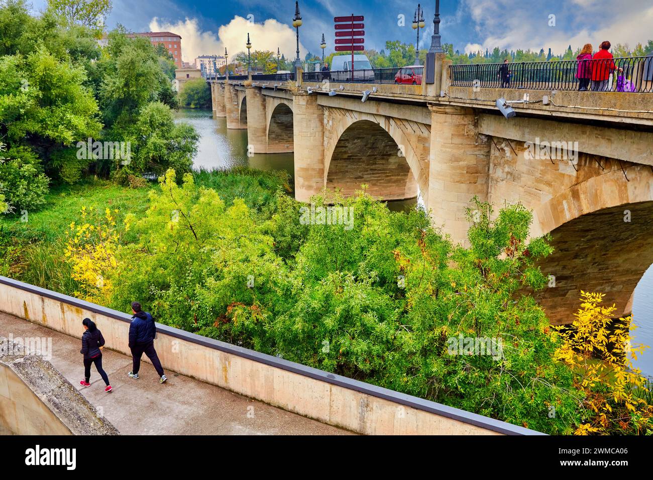 Puente de Piedra, Rio Ebro, Via di San Giacomo, Camino de Santiago, Logroño, la Rioja, Spagna, Europa Foto Stock