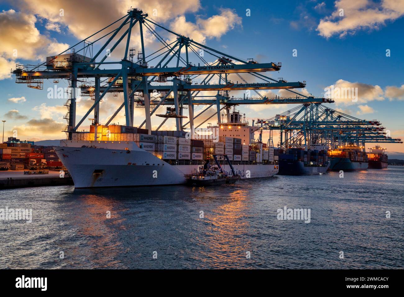 Nave Container, porto commerciale di Algeciras, Cadice, Andalusia, Spagna, Europa Foto Stock