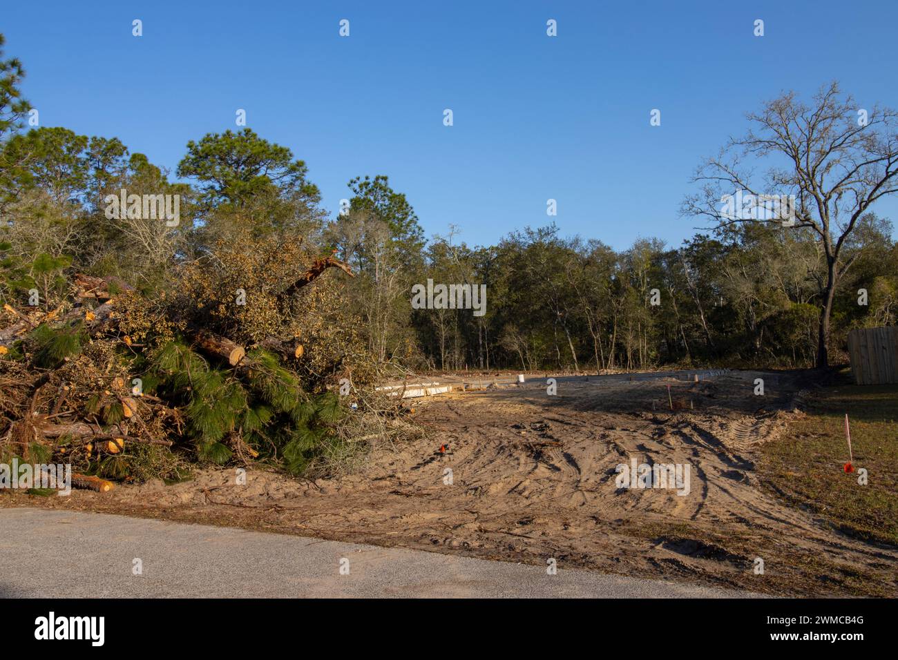 Nativo di habitat della foresta distrutta per la costruzione di nuovi alloggi in North Central Florida Foto Stock