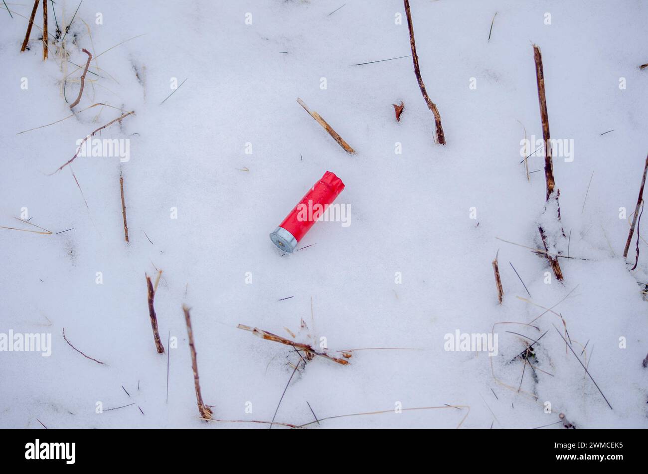 Cannone Sprnt calibro 12 su neve Foto Stock