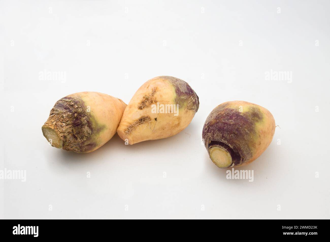 Tre pezzi di rutabaga isolati su sfondo bianco. Verdure per preparare stufati e cibi tradizionali in Spagna Foto Stock