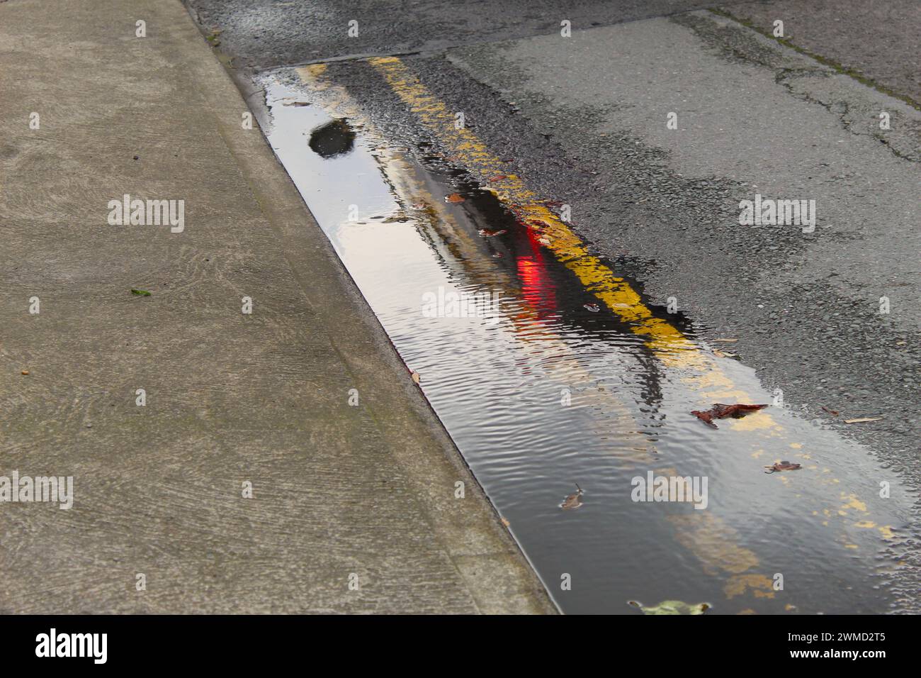Una foto di una doppia linea stradale gialla con pozzanghere e foglie e una strada urbana. Foto Stock