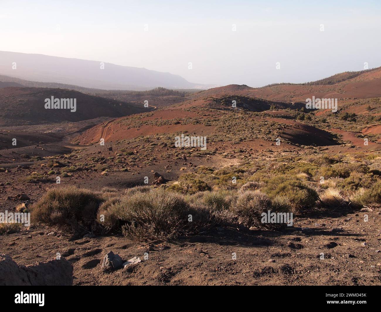 Punto di osservazione di Montaña Limón (Parco Nazionale del Teide, Tenerife, Isole Canarie, Spagna) Foto Stock