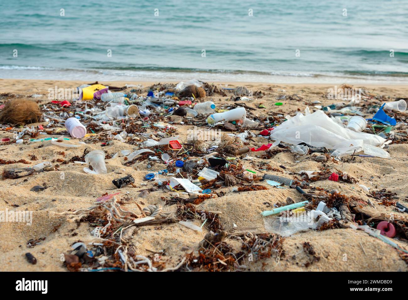 Koh Samui, Thailandia - 18 gennaio 2024: Distruzione ecologica in spiaggia Foto Stock