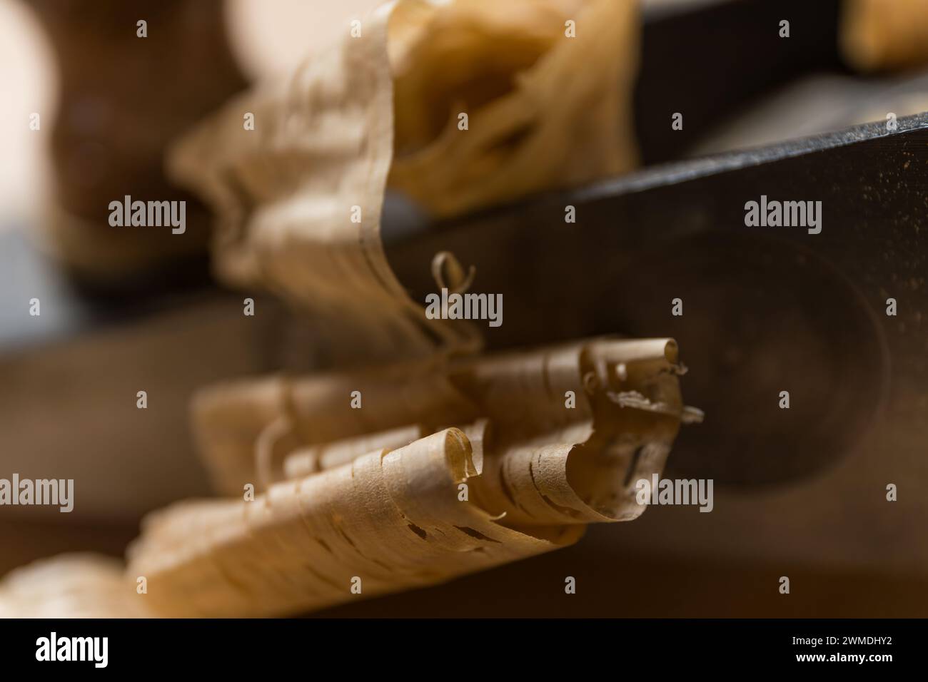 Foto orizzontale i trucioli di legno intricati poggiano sul piano di un falegname, evidenziando la bellezza della lavorazione del legno e la precisione degli utensili manuali. Affari Foto Stock