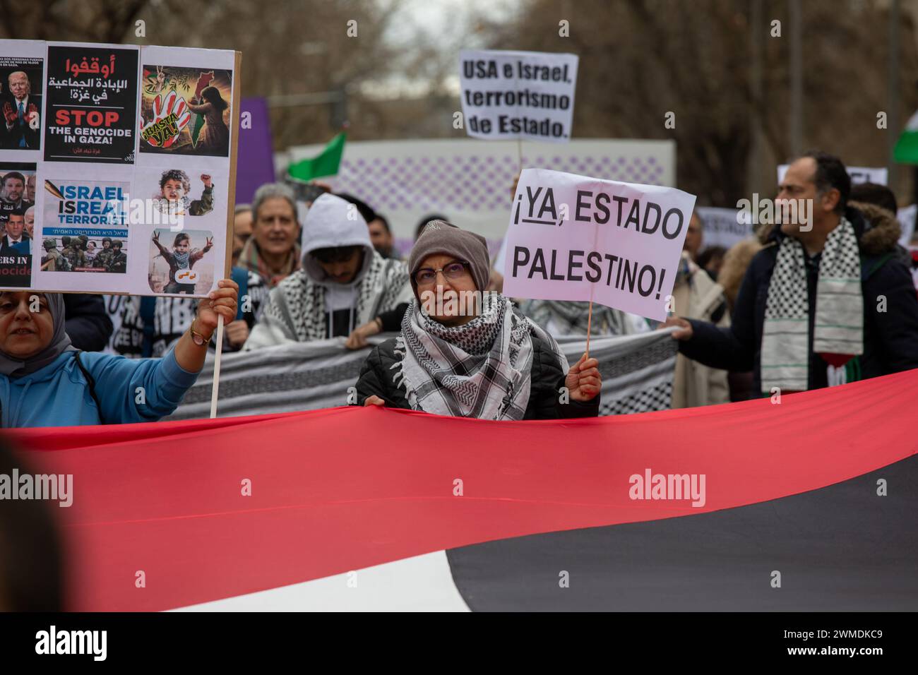 Madrid, Spagna. 25 febbraio 2024. I manifestanti detengono un'enorme bandiera palestinese e segnali durante la manifestazione pro-palestinese. Migliaia di persone hanno manifestato domenica 25 febbraio nel centro di Madrid per chiedere il cessate il fuoco da parte dello Stato di Israele contro il popolo palestinese e la fine della vendita di armi da parte della Spagna allo Stato di Israele. (Foto di David Canales/SOPA Images/Sipa USA) credito: SIPA USA/Alamy Live News Foto Stock