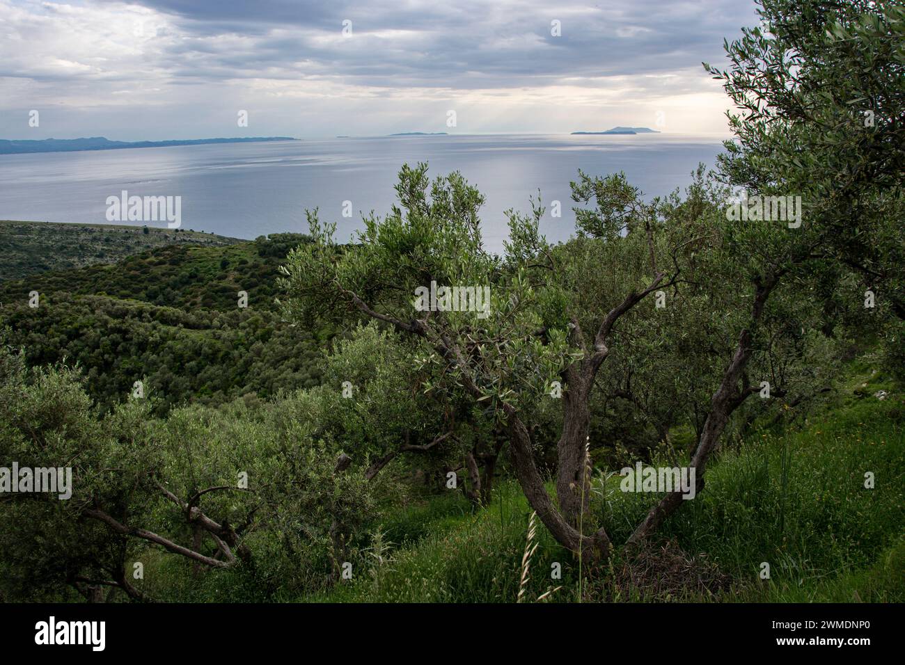 Blick von der albanischen Südküste auf Korfu und die umliegenden griechischen Inseln Foto Stock