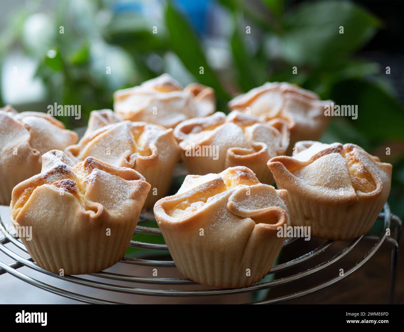 I cupcake Soffioni Abruzzesi appena sfornati stanno diventando freddi sulla griglia, attenzione selettiva. Pasticceria italiana Foto Stock