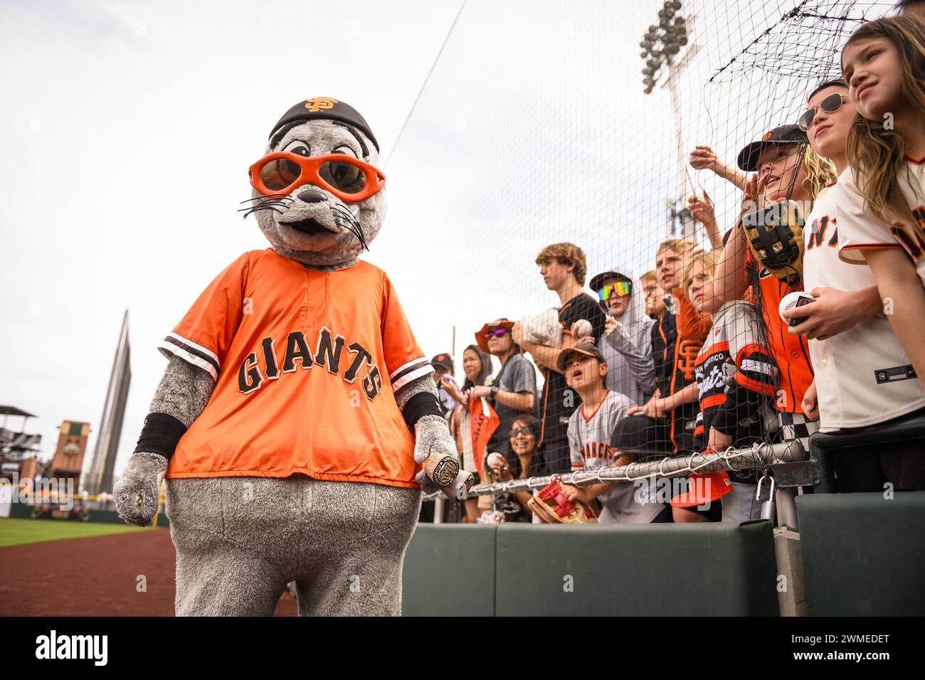 La mascotte dei San Francisco Giants "Lou Seal" visita i tifosi prima di una partita di baseball degli allenamenti primaverili della MLB contro i Chicago Cubs sabato 24 febbraio 2024 Foto Stock
